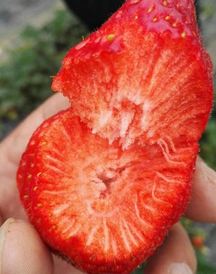 文章附圖